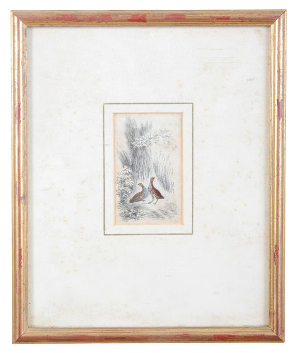 GRAHAM SNOW (1948-2025) Two partridges
