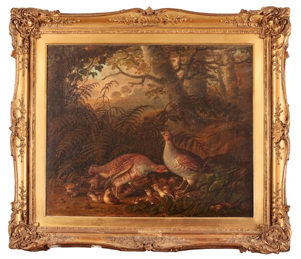 CIRCLE OF STEPHEN ELMER (1717-1796) A covey of partridges in a wooded landscape