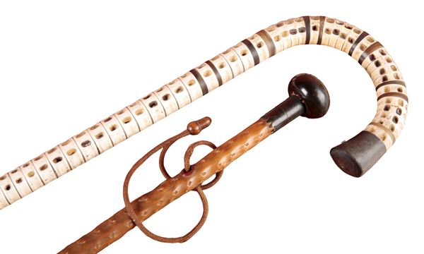 A SHARK BONE AND HORN WALKING CANE