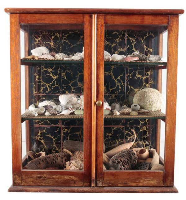 A 20TH CENTURY MAHOGANY GLAZED DISPLAY CABINET