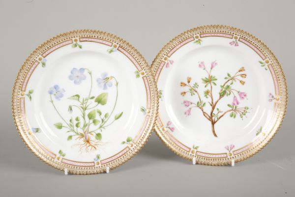 A PAIR OF ROYAL COPENHAGEN PORCELAIN BOTANICAL PLATES