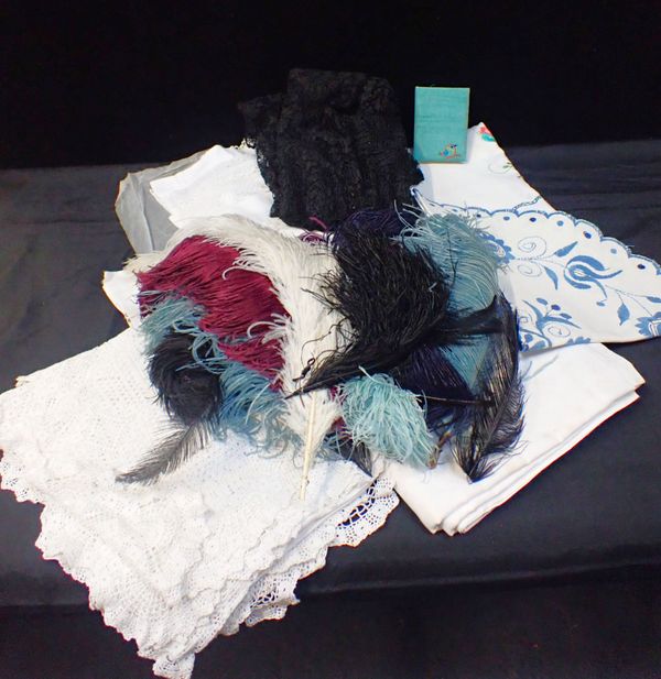 A COLLECTION OF OSTRICH PLUMES