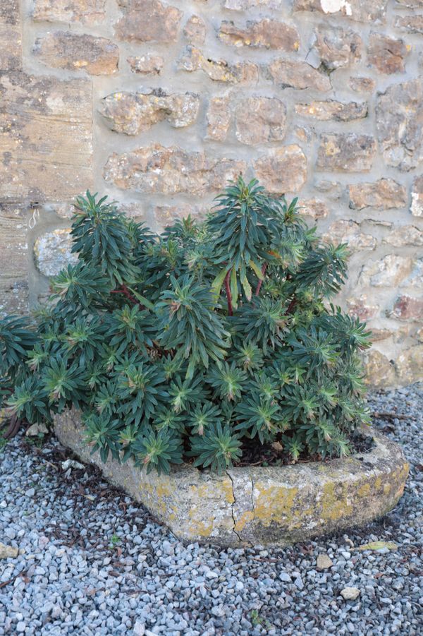 A STONE TROUGH