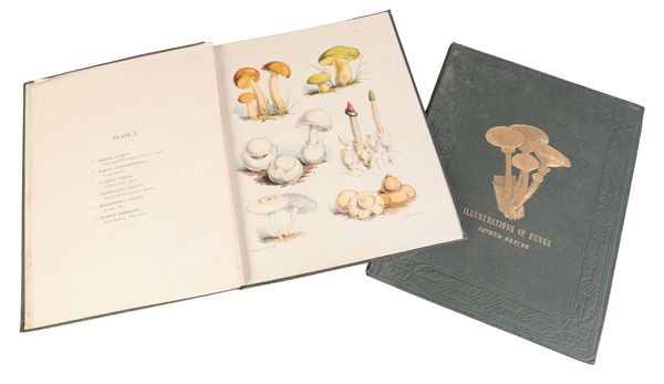 SARAH PRICE: ILLUSTRATIONS OF THE FUNGI OF OUR FIELDS AND WOODS