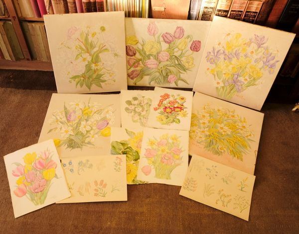 *CICELY GLYN DE BEERS (NEE MEDLYCOTT) (1892-1973) FIVE UNFRAMED BOTANICAL STUDIES