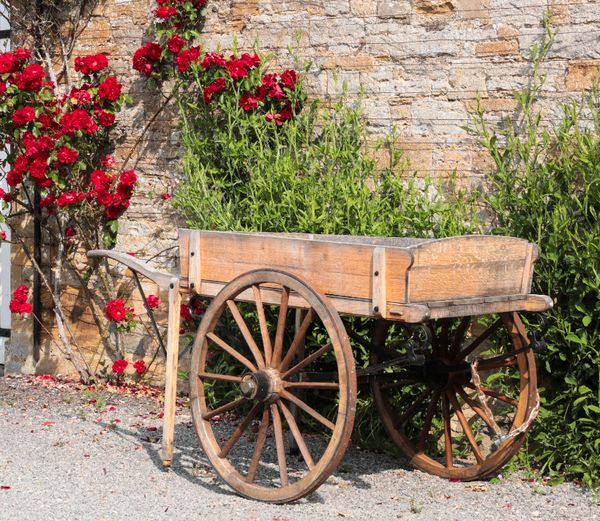 AN OAK CART/MARKET BARROW