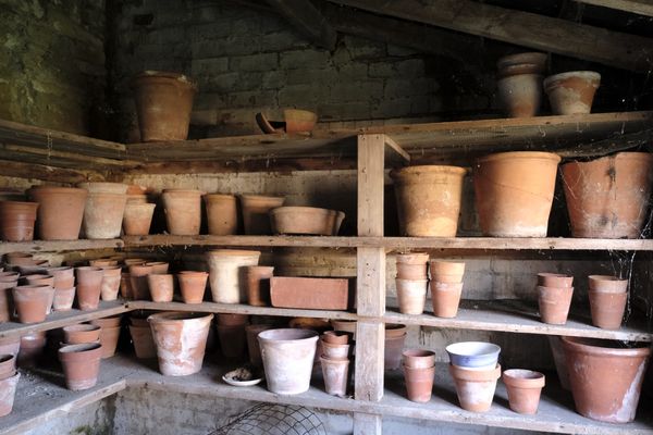 A COLLECTION OF TERRACOTTA FLOWER POTS