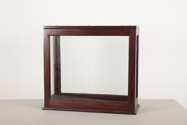 A STAINED WOOD AND GLAZED DISPLAY CASE