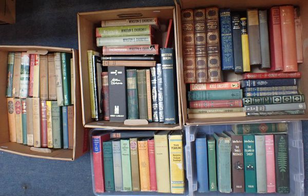 A QUANTITY OF MIXED BOOKS