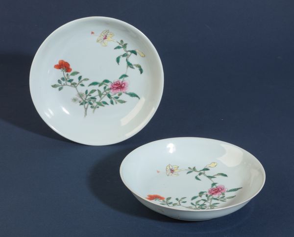 A PAIR OF CHINESE SAUCER DISHES