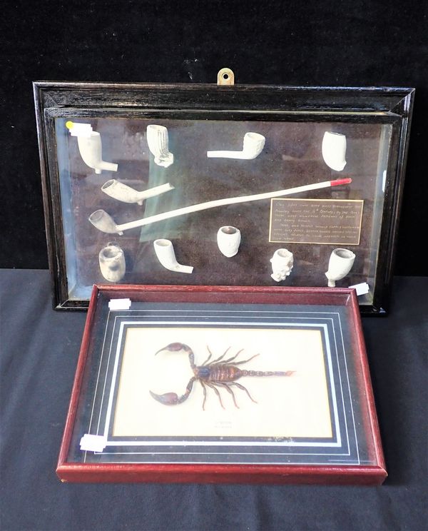 A FRAMED DISPLAY OF EXCAVATED CLAY PIPE BOWLS