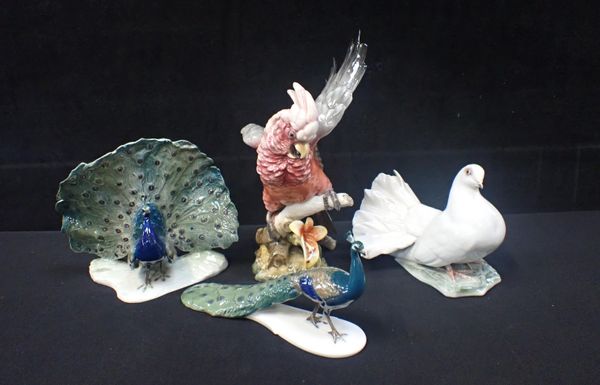 HUTSCHENREUTHER PORCELAIN FIGURES OF BIRDS