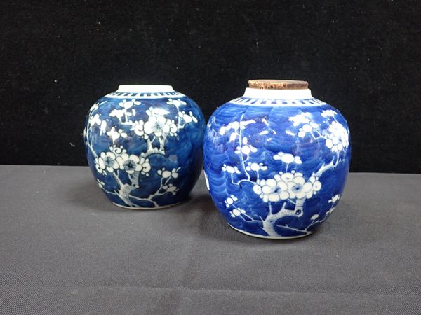 TWO SIMILAR CHINESE BLUE AND WHITE PRUNUS JARS