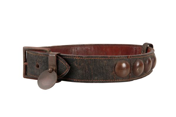 A VICTORIAN LEATHER AND BRASS STUDDED DOG COLLAR