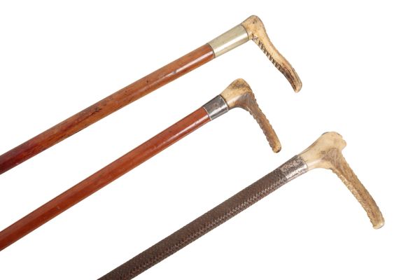 THREE EDWARDIAN ANTLER HANDLED RIDING CROPS