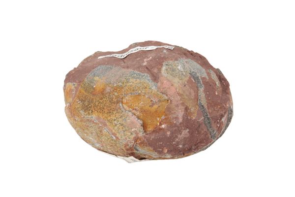 A FOSSILISED DINOSAUR EGG