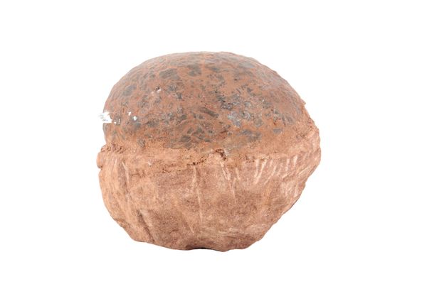 A FOSSILISED DINOSAUR EGG