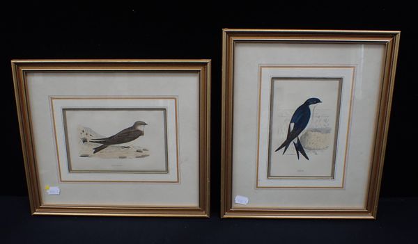 TWO 19TH CENTURY ORNITHOLOGICAL PRINTS