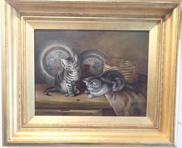 JULIA BOORG (?) 19th CENTURY TWO CATS, WITH A FLY