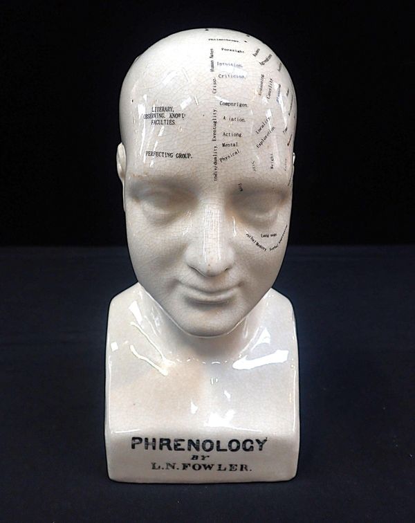 AN L.N. FOWLER PHRENOLOGY HEAD