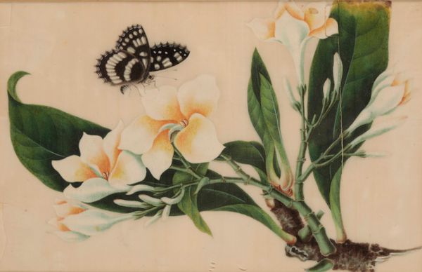 SET OF SEVEN CHINESE PITH PAPER PAINTING, QING DYNASTY, 19TH CENTURY