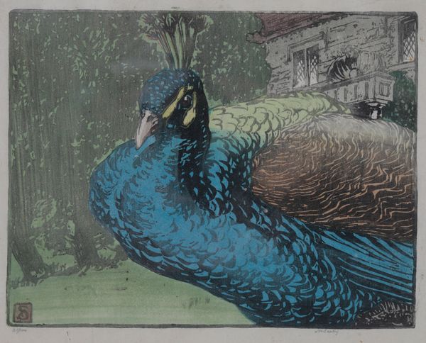 ALLEN WILLIAM SEABY (1867-1953) 'The Peacock'