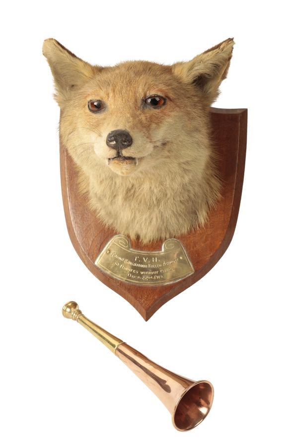 A TAXIDERMY FOX MASK