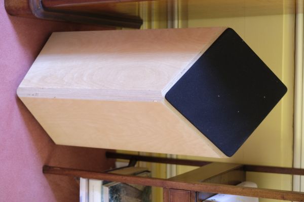 A PAIR OF SHANINIAN ACOUSTIC SPEAKERS