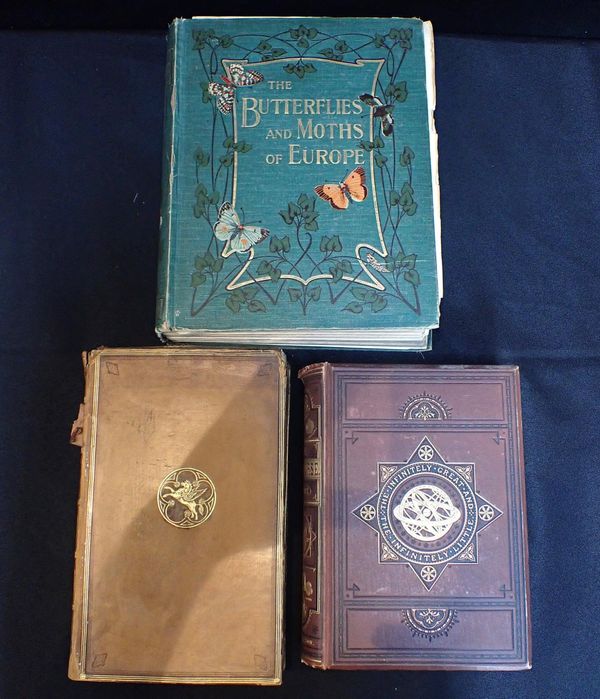KIRBY W.F 'THE BUTTERFLIES AND MOTHS OF EUROPE'