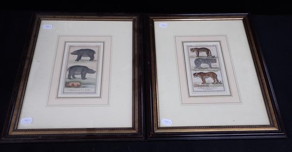 A PAIR OF FRAMED ZOOLOGICAL ILLUSTRATIONS