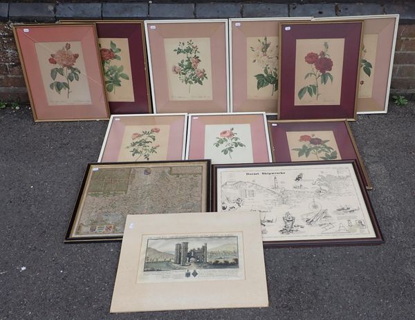 COLLECTION OF REDOUTE ROSE PRINTS