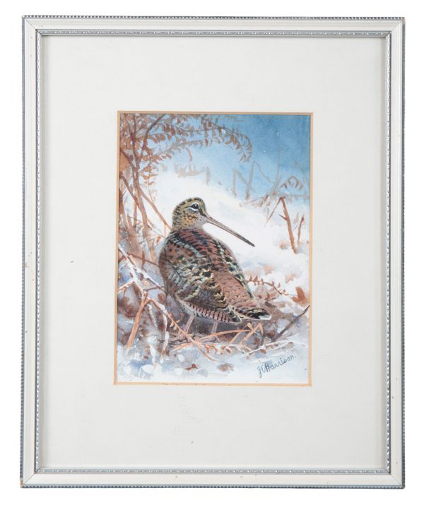 *JOHN C. HARRISON (1898-1985) A study of a woodcock in snow