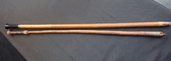 TWO WALKING STICKS