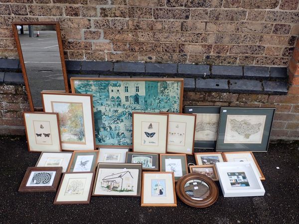 THREE COLOURED LITHOGRAPHS OF BUTTERFLIES AND MOTHS