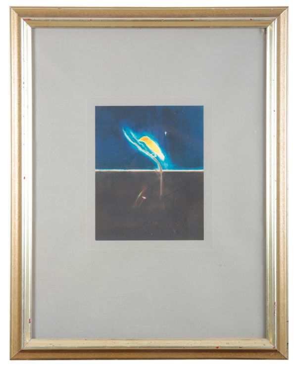 *CRAIGIE AITCHISON (1926-2009) A parrot on a branch in a landscape