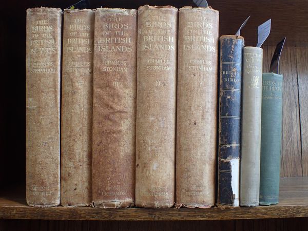 CHARLES STONHAM: BIRDS OF THE BRITISH ISLANDS