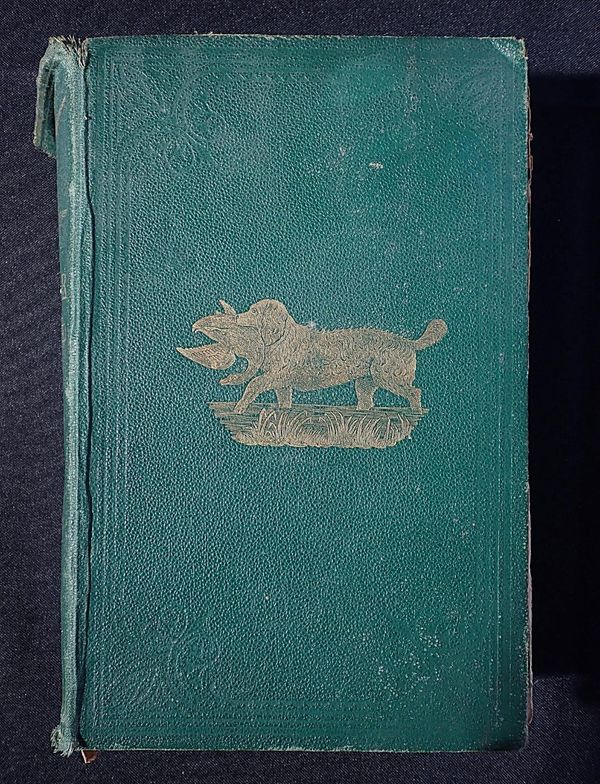 HENRY COLEMAN FOLKARD: ' THE WILD-FOWLER'