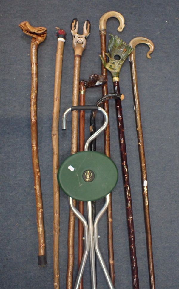 A COLLECTION OF WALKING STICKS AND CROOKS