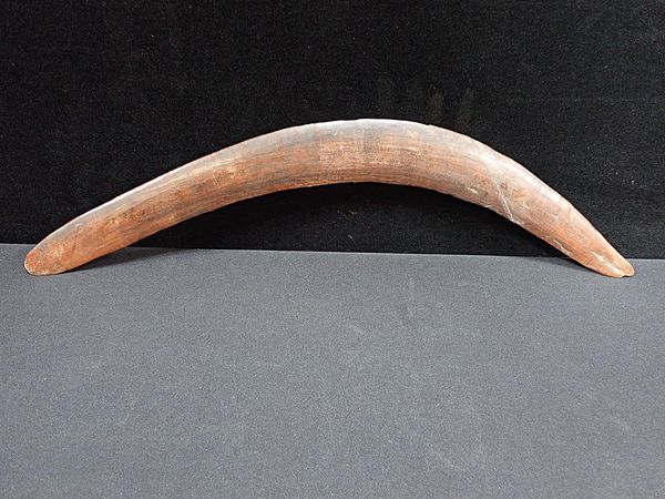 A BOOMERANG