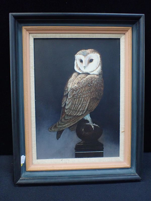 A 20th CENTURY OIL ON CANVAS PAINTING OF A BARN OWL