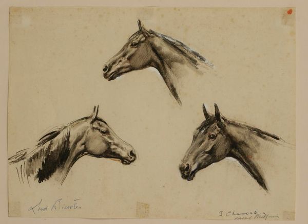 •HESKETH RAOUL LEJADERAY MILLAIS (1901-1999) Horse studies