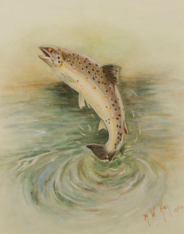 R.W HAY (20th century) A trout leaping
