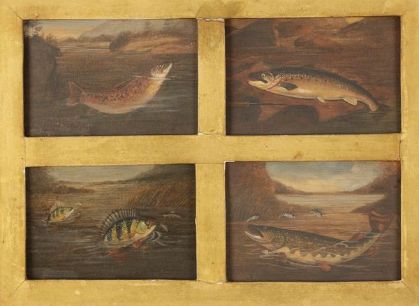 ATTRIBUTED TO ROLAND KNIGHT (fl.1810-1840) Four fish studie