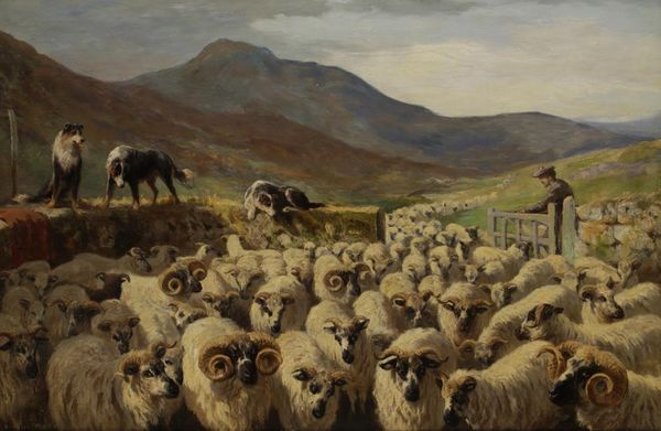 ARTHUR BAKER (FL.1864-1889) "THE SHEEP OF THE FOLD"