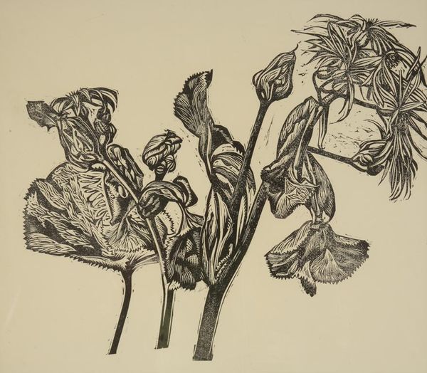 •EDWARD D'ARCY LISTER (1911-1976) 'RAGWORT'