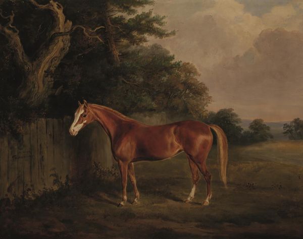 WILLIAM WEBB (1780-1846) "KITTY" A horse in a landscape