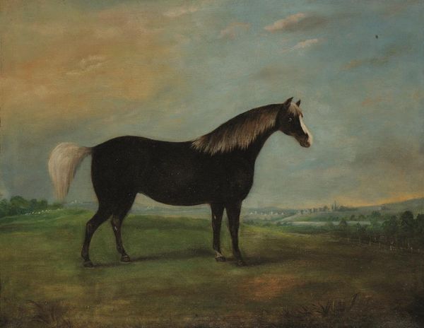 NAIVE SCHOOL, 19TH CENTURY, A pair of primitive style studies of horses