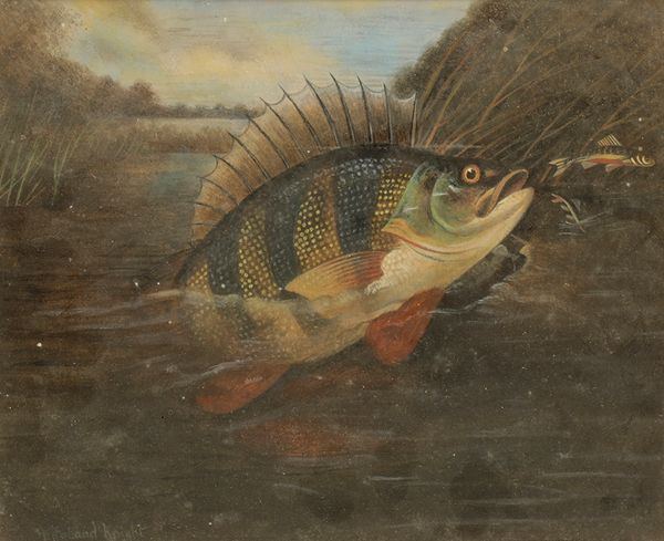 A ROLAND KNIGHT (FL. 1810-1840) a study of perch