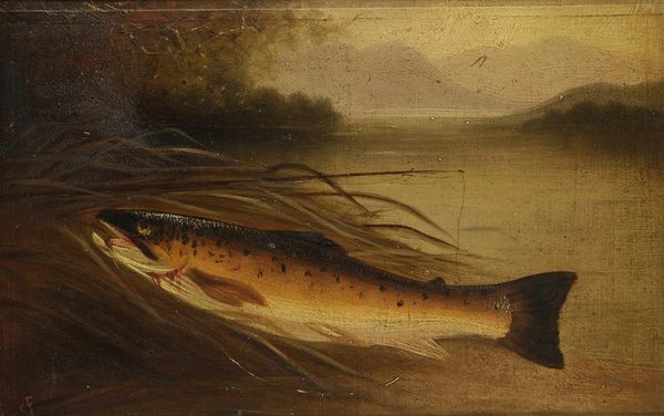 C FAIRMAN (19TH/20TH CENTURY) a brown trout amongst reeds