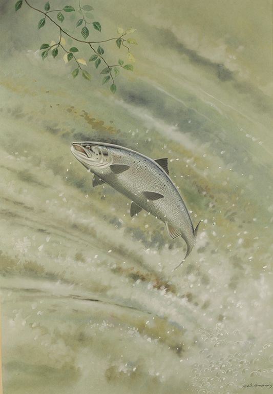 •ROBIN ARMSTRONG (B.1947) a study of a leaping salmon